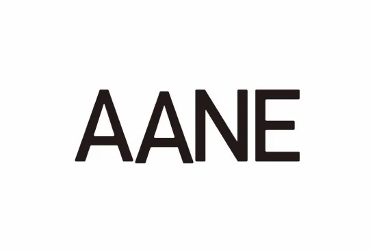 AANE 施工例